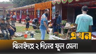 ঝিনাইদহের ফুল চাষে জড়িত ১০ হাজারের বেশি কৃষক