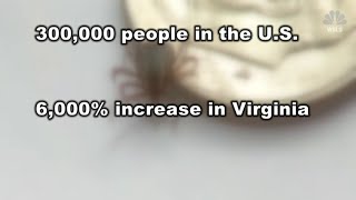 Virginia Tech researchers make discovery that can help those with Lyme disease