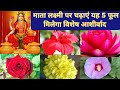 ये 5 फूलों को चढ़ाने से लक्ष्मी जी प्रस�