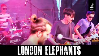 London Elephants - Stay (Live Snippet at Zugluft)