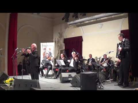 Jovane, sine - Slobodan Jovanović (Festival "Oću da vi pojem vranjansko").