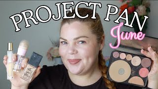 Project Pan Update 5 for June 2024!