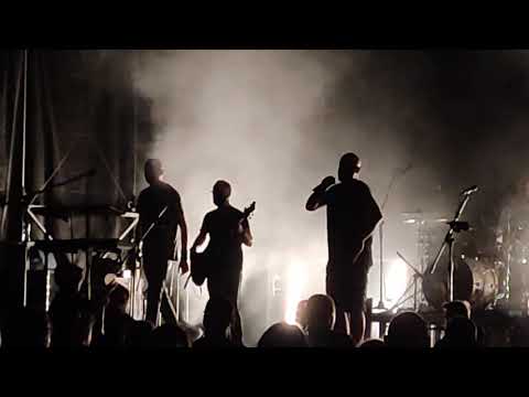 Łydka grubasa- Świnia ( 26.06.2021 Liswartarock Popów)