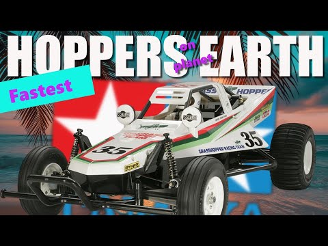 The Fastest Tamiya Hornets and Grasshoppers on Planet Earth!