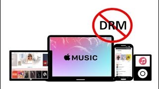 How to Remove DRM from Apple Music?
