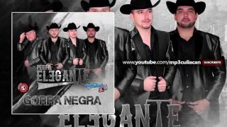 Perfil Elegante - El Compa Alex (Estudio 2016)
