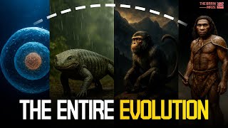 Our Entire Evolution