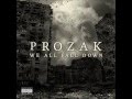 Prozak - Divided We Stand