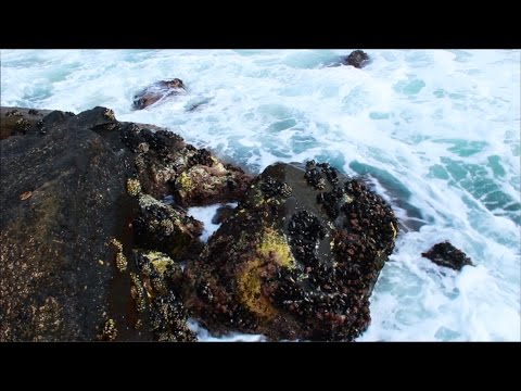 Let's Read Nietzsche's Beyond Good and Evil CC ASMR First Article