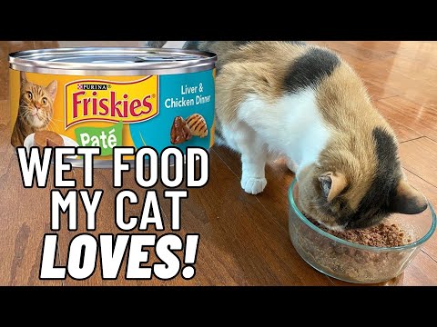 Reviewing Friskies Classic Pate Liver and Chicken Wet Cat Food