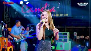 Download lagu CAMELIA MUSIC - BEGADANG 2 - RIA ANDIKA - GOGOR RINGIN & LAMBE TURAH - CEPOGO KEMBANG JEPARA mp3