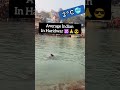 Ice Bath Therapy In India Haridwar Winter Ganga Dubki