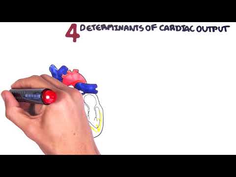 Cardiovascular System Physiology - Cardiac Output (stroke volume, heart rate, preload and afterload)