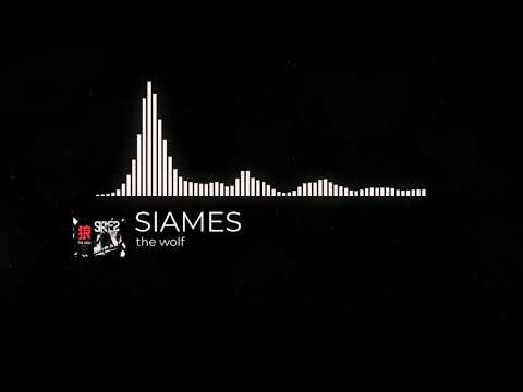 The wolf-SIAMES