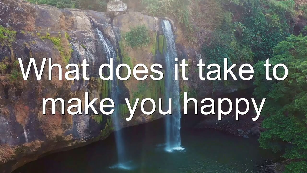 What Does it Take to Make You Happy