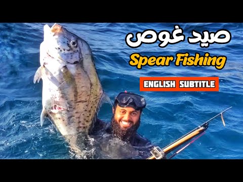 Spearfishing in Kuwait