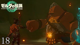 【ゼルダの伝説totkその18】更生したユン坊と炎の神殿に突撃