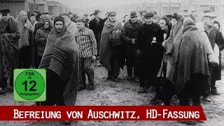 preview picture of video 'Befreiung von Auschwitz (HD 1080p)'