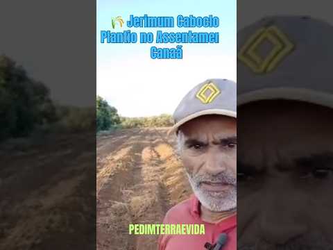 #vidanaroça A Força da Agricultura Familiar: Plantio de Jerimum Caboclo