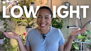 💡 LOW LIGHT Houseplant Collection Tour| End of Summer Growth 2024| My mom's collection 🪴