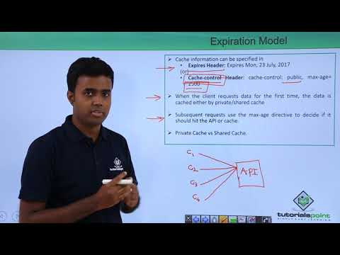REST API Expiration Model