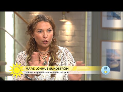 Forskarens råd i extremvärmen: ”Öppna inte dörrar och fönster under dagen” - Nyhetsmorgon (TV4)