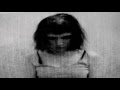 Bleib Modern - Forest 