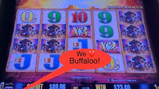 Buffalo Gold Big Win! Multiple bonuses 💥Triple multipliers💥 Video Video