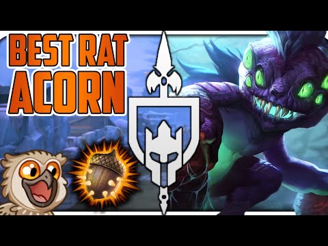 THE ONLY RATATASKR ACORN THAT YOU WILL EVER NEED!