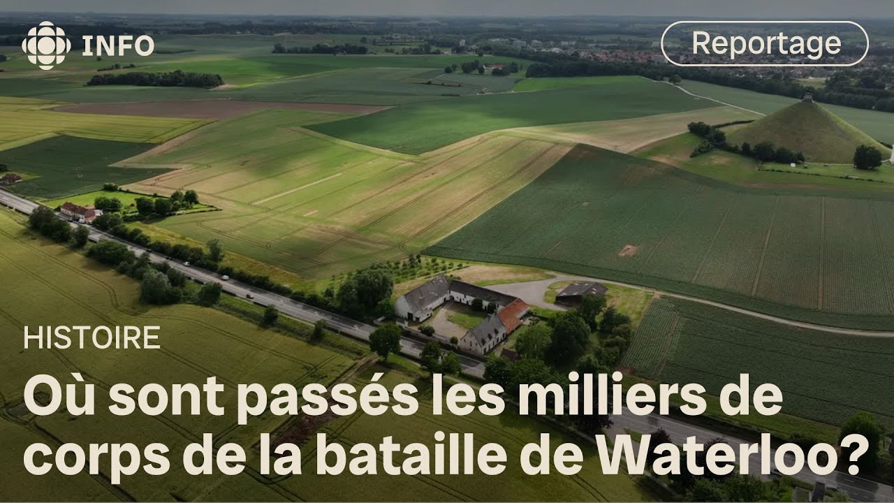 Bataille de Waterloo : où sont passés les corps? | Découverte