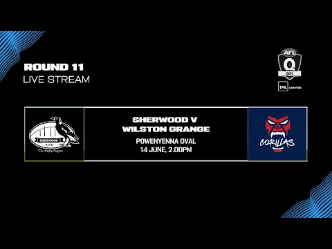 LIVE TPIL Lawyers QAFL ROUND 11 - Sherwood v Wilston Grange