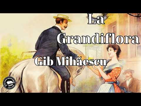 La Grandiflora de Gib Mihăescu | Audiobook Complet | Cărți Audio Remarcabile 🎧📚