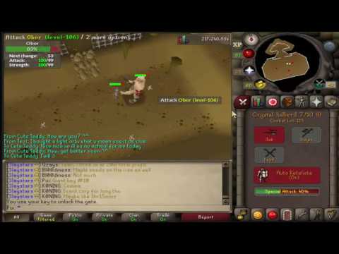 Loot from 10 kills of Obor (New f2p Hill Giant boss) Runscape Oldschool