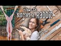 How To Butcher A Rabbit Details Tips Tricks Creme D Argent Meat Rabbits