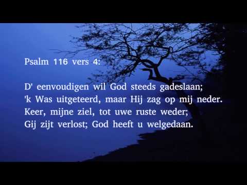 Psalm 116 vers 1, 4, 10 en 11 - God heb ik lief; want die getrouwe HEER