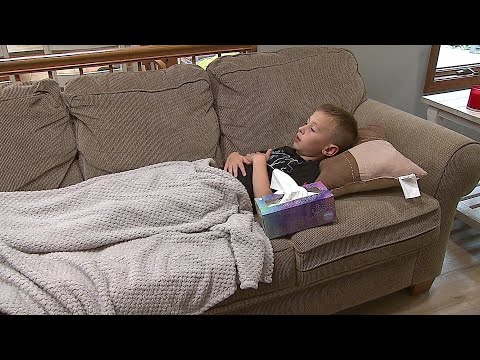 Does your child have a virus or a bacterial infections?