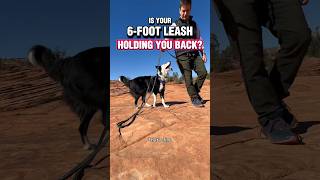 Is your 6-foot leash holding you again? #dogtrainer #dogtraining #puppytraining #leashwalking #canines