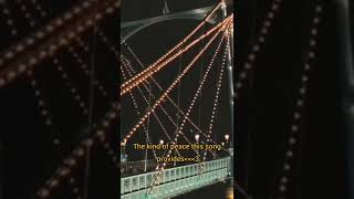 Download lagu #heer #Sharukhkhan #kaitrinakaif #jab tak hain jaan status video scene. 👆 mp3