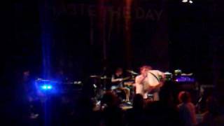 Thumbelinas Story - Shadows Chasing Ghosts Live