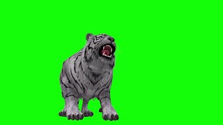 Download lagu Green Screen Chromakey -  White Tiger Howling Tiger crowing Tiger Front Pose mp3