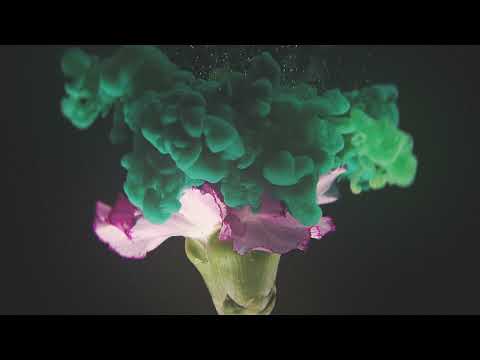 Video thumbnail for Through the Never