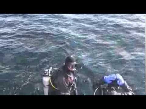 Scuba Diving the Boeing 737 Artificial Reef at Chemainus BC