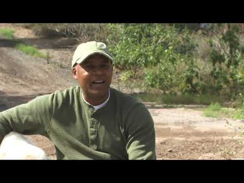 Brandon Speaks Dog Trailer