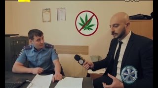 REAL Бодрит. Легалізація маріхуани