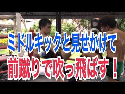 ミドルキックのフェイントをして、相手を吹っ飛ばすテクニック！ ~ミドルキックと前蹴りを上手く使っていきましょう~