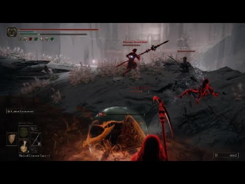 Elden Ring Millicents Sisters Invader brawl