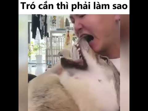 #memes #shiny0310 #funny #foryou