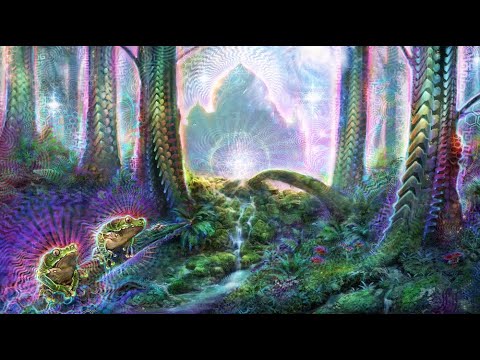 Liquid Bloom Set @ Rhythm Sanctuary, Ecstatic Dance, January 2nd 2020