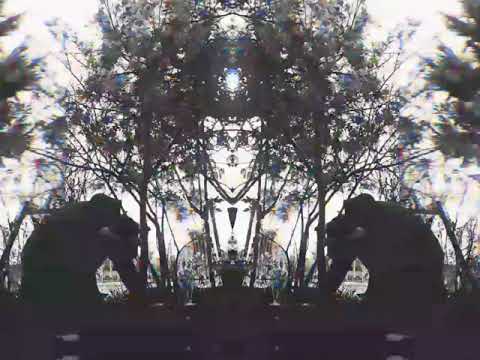 Sebicho x MuteWxrds- H a f e f o b i a