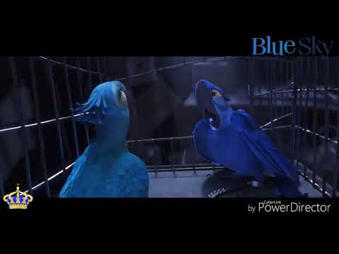 Rio | "Un-Fly Away!"